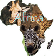 africa1