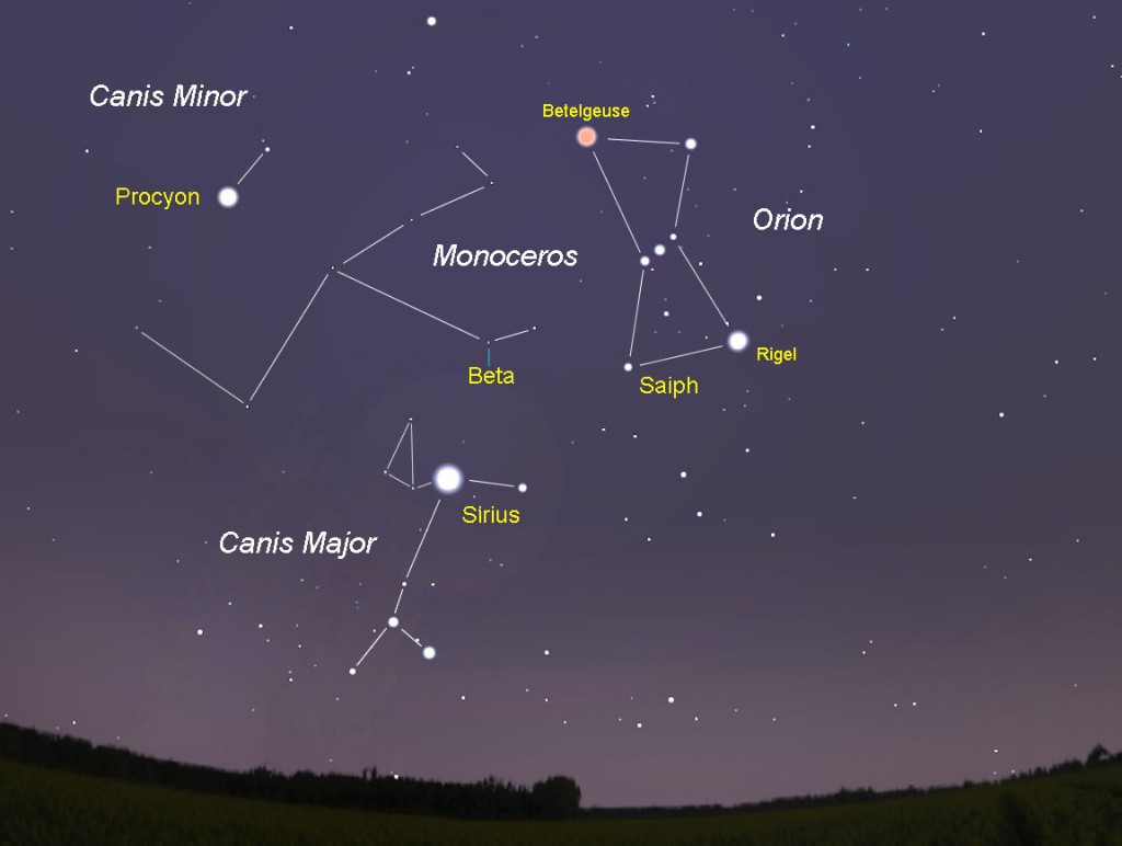 canis major
