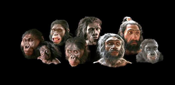 nea acropoli human evolution
